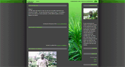 Desktop Screenshot of metoutou.bling.fr